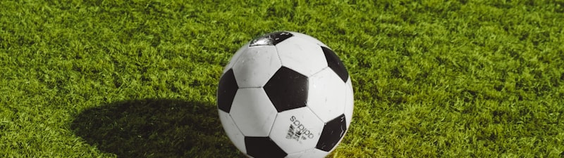 世界杯決賽精彩瞬間 - 球員慶祝進(jìn)球，觀(guān)眾歡呼